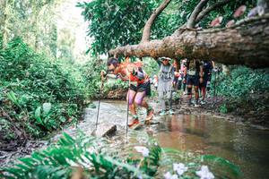 BIB: 
                            <button type="button" onclick="openModal(25515035)" class="btn btn-primary btn-sm float-right btn-popup" data-toggle="modal" data-target=".modal-high-quality">
                        <i class="fas fa-shopping-cart"></i> Add to Cart
                    </button>
                                            <button type="button" onclick="isThisMe(25515035, true)" class="btn btn-success btn-sm float-right btn-popup btn-isme hidden" data-toggle="tooltip" data-placement="bottom" title="นี่คือรูปของคุณใช่ไหม คลิกที่นี่เพื่อเอาเข้าอัลบั้ม">
                        <i class="fas fa-plus"></i> Add to album
                    </button>
                    <button type="button" onclick="isThisMe(25515035, false)" class="btn btn-warning btn-sm float-right btn-popup btn-isnotme hidden">
                        <i class="fas fa-ban"></i> Remove from album
                    </button>